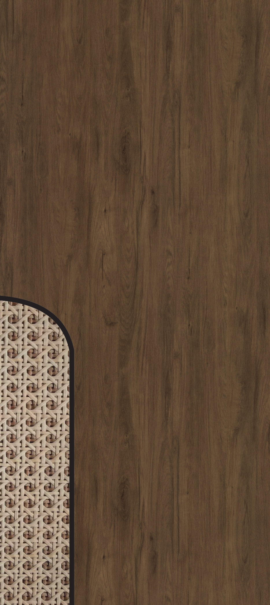 Primium Laminated door - 075632-8