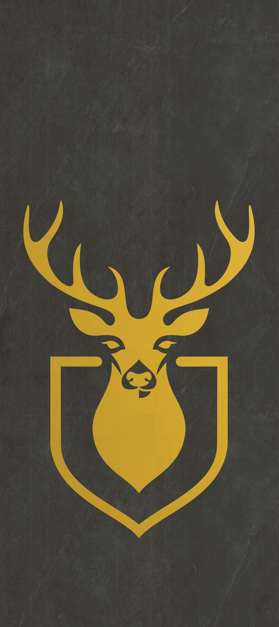 Primium Laminated door - 080255-1