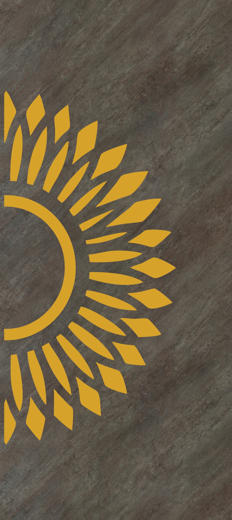 Primium Laminated door - 080626-2