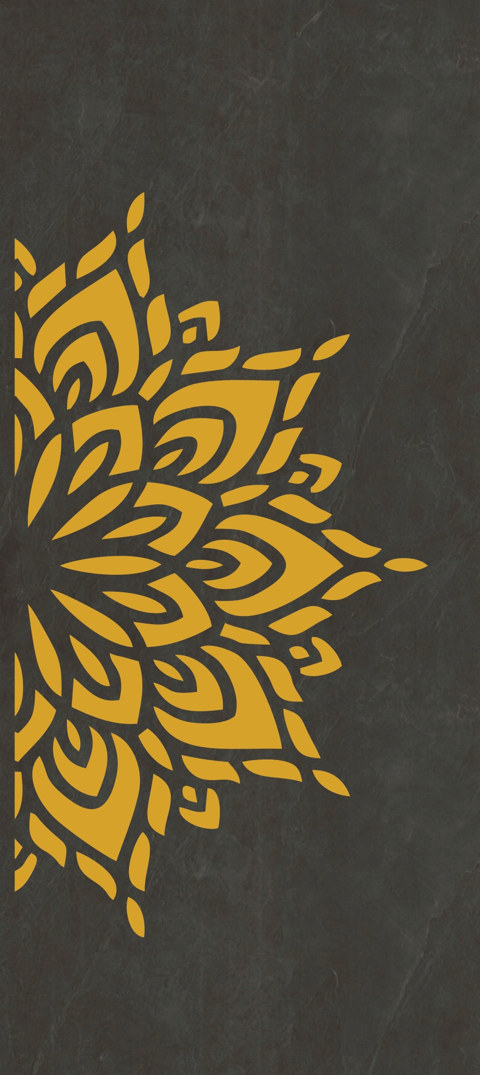 Primium Laminated door - 080627-5