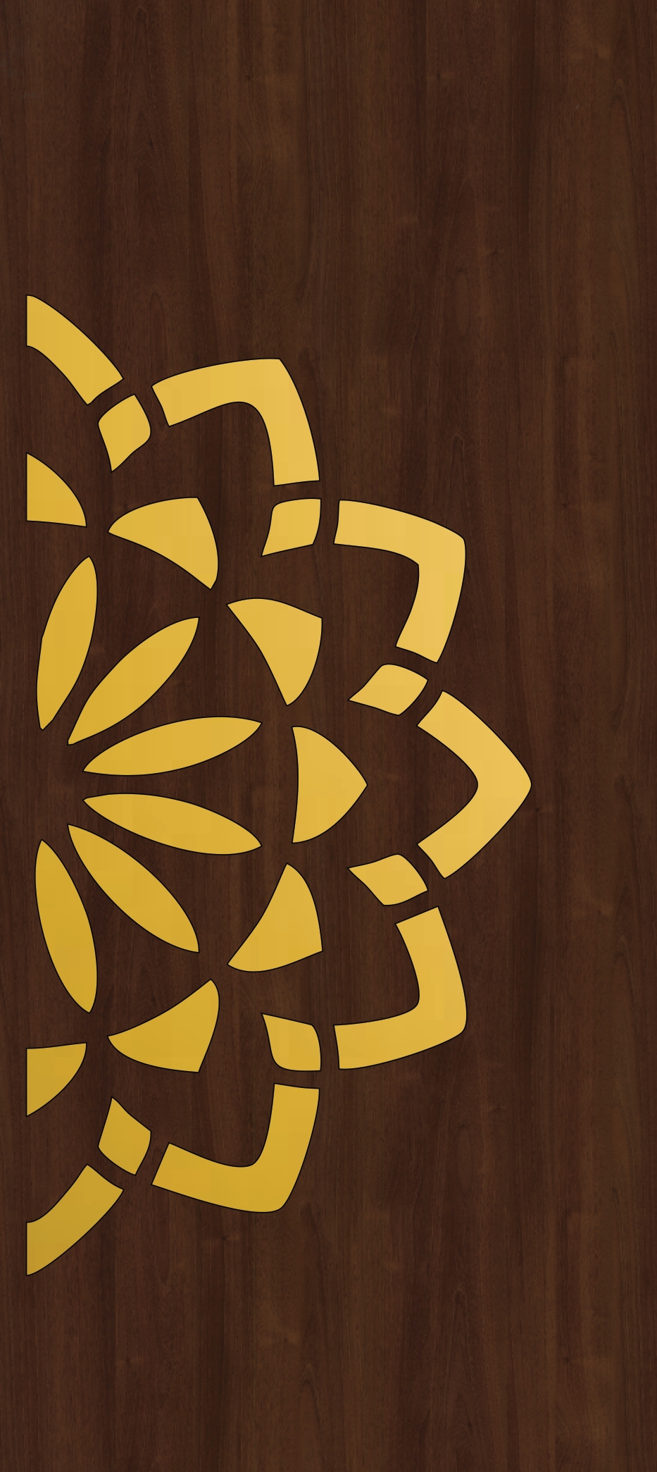 Primium Laminated door - 080730-11