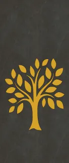 Primium Laminated door - 080054-6