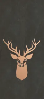 Primium Laminated door - 080054-12