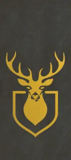 Primium Laminated door - 080255-1