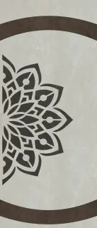 Primium Laminated door - 080431-9