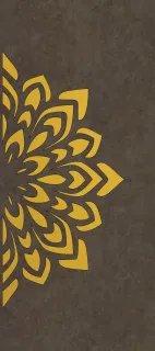 Primium Laminated door - 080506-10