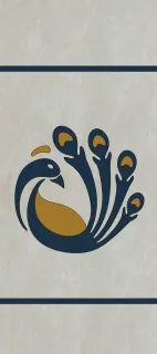 Primium Laminated door - 080659-1