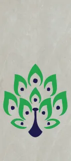 Primium Laminated door - 080659-3