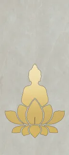 Primium Laminated door - 080659-4