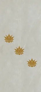 Primium Laminated door - 080659-5